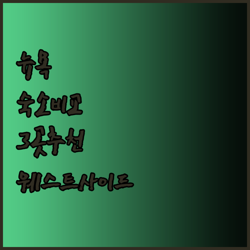 뉴욕 여행 숙소 3곳 비교분석 웨스트
