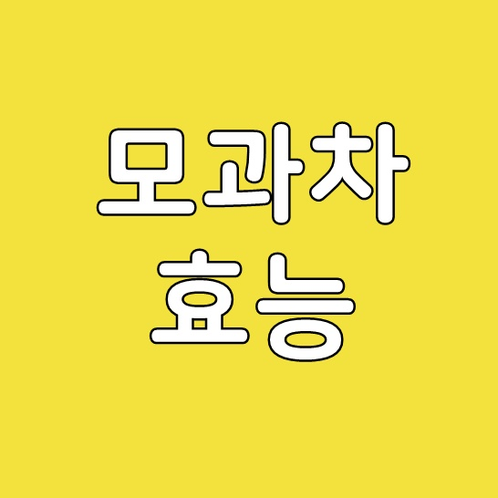  모과차 효능