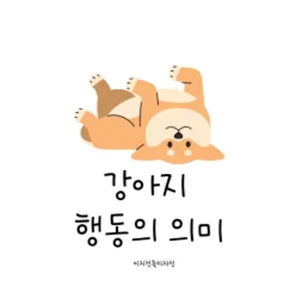 강아지 행동별 특징 의미 강아지 신호 해석 방법_9