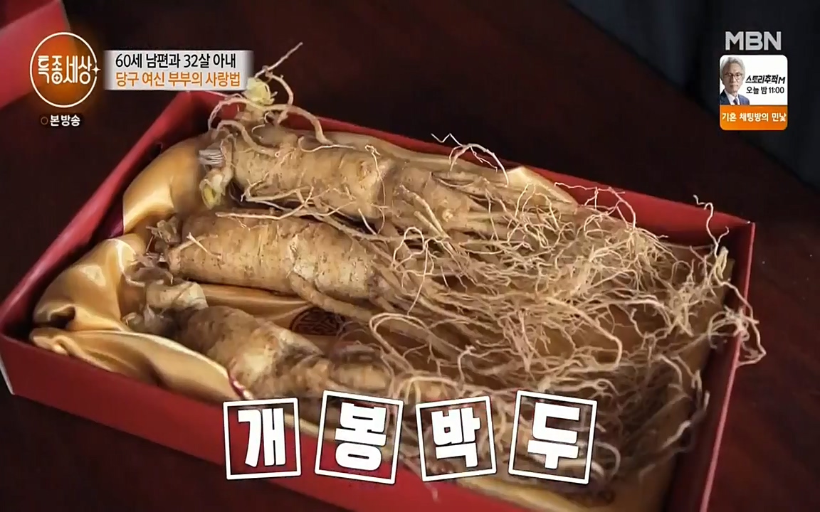 현장르포 특종세상.E528.220429p-NEXT.mp4_20220429_185537.618.jpg