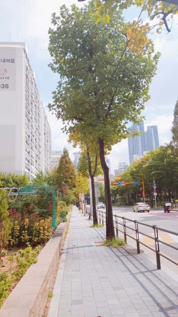 화이자 2차 접종 검토(부작용, 2차 잔류백신, 백신예약취소, 음성출혈, 부작용) 6