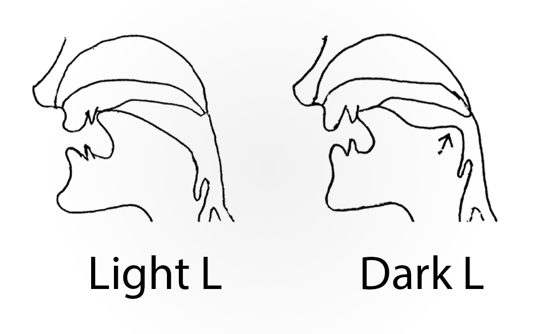 Light L vs Dark L