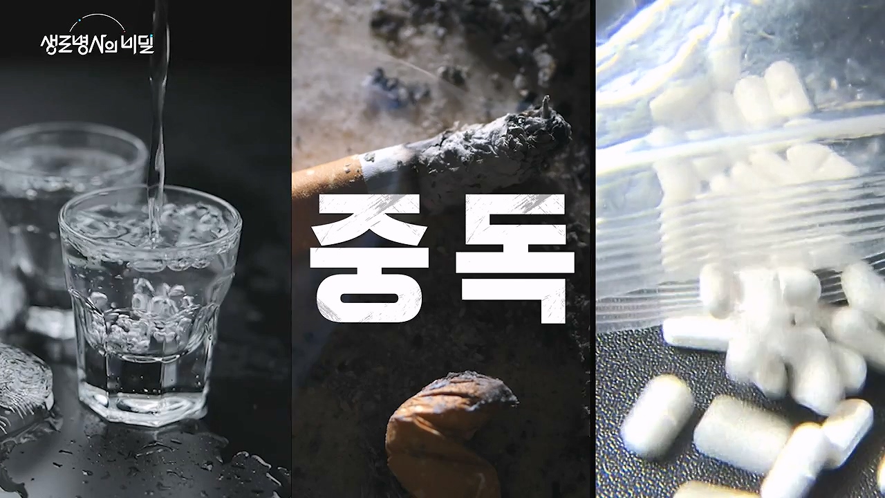 생로병사의 비밀.E917.240627p-NEXT.mp4_20240627_205318.985.jpg