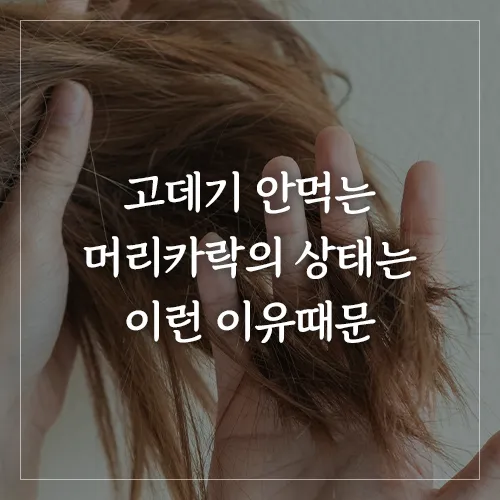 고데기가 잘 안먹는 머리카락의 상태는 이런 이유때문이다