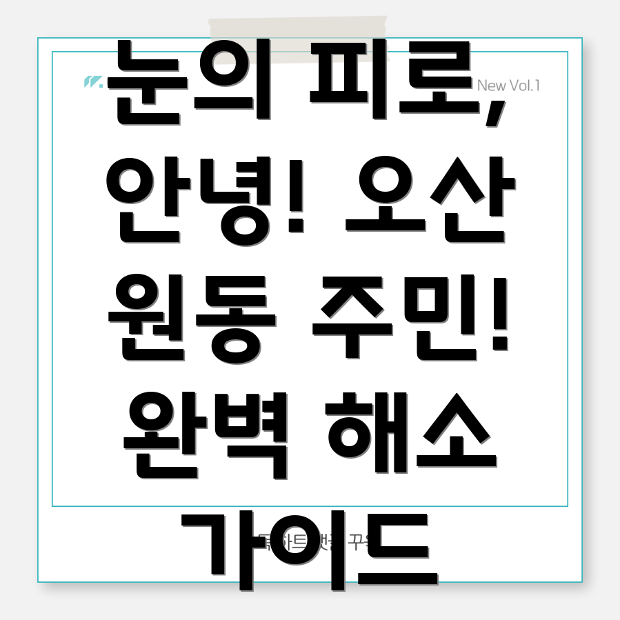 눈의 피로