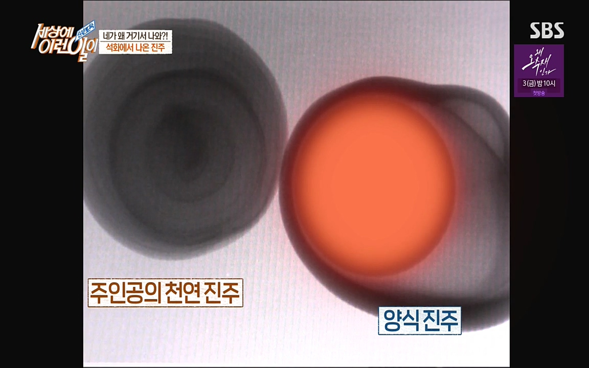 순간포착 세상에 이런일이.E1182.220532p-NEXT.mp4_20220601_171645.358.jpg