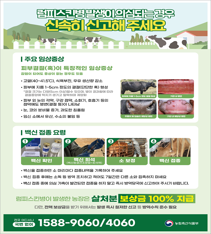 럼피 이미지
