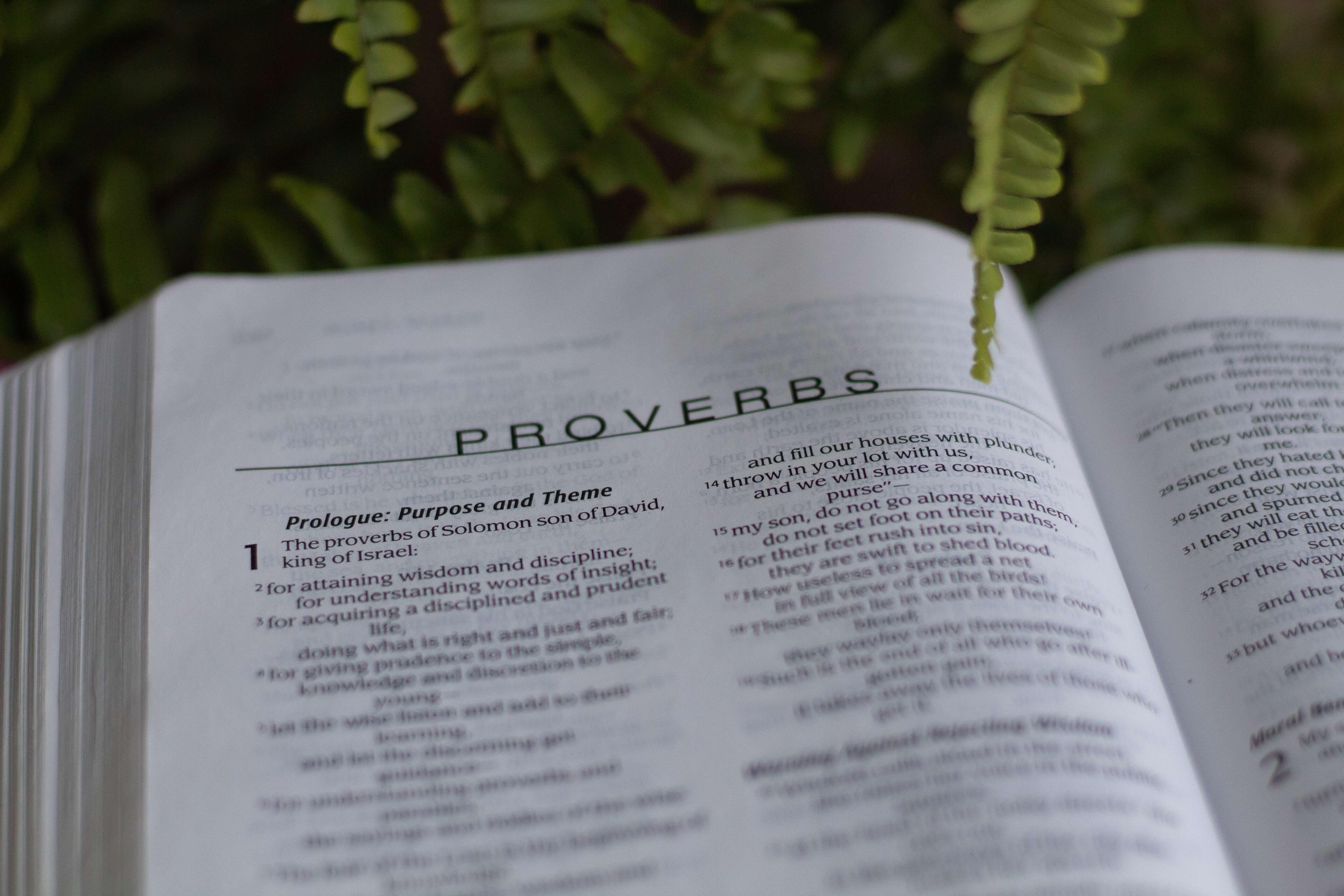  잠언 14장 - Proverbs 14 : 1~35
