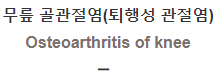  무릎 골관절염(퇴행성 관절염) [Osteoarthritis of knee]