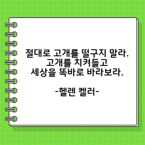 절대로 고개를 떨구지 말라. 고개를 치켜들고 세상을 똑바로 바라보라. 헬렌 켈러