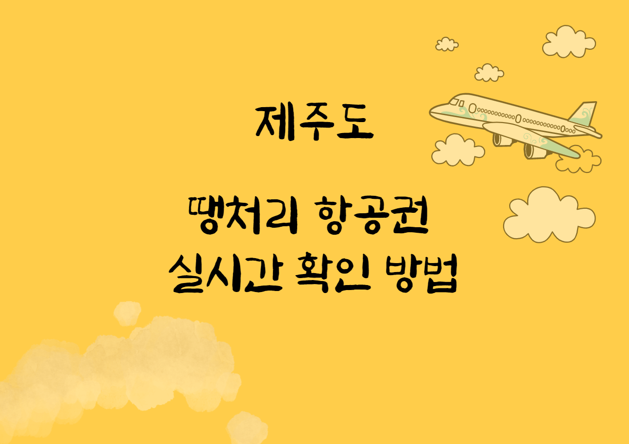 제주도 땡처리 항공권 실시간 확인