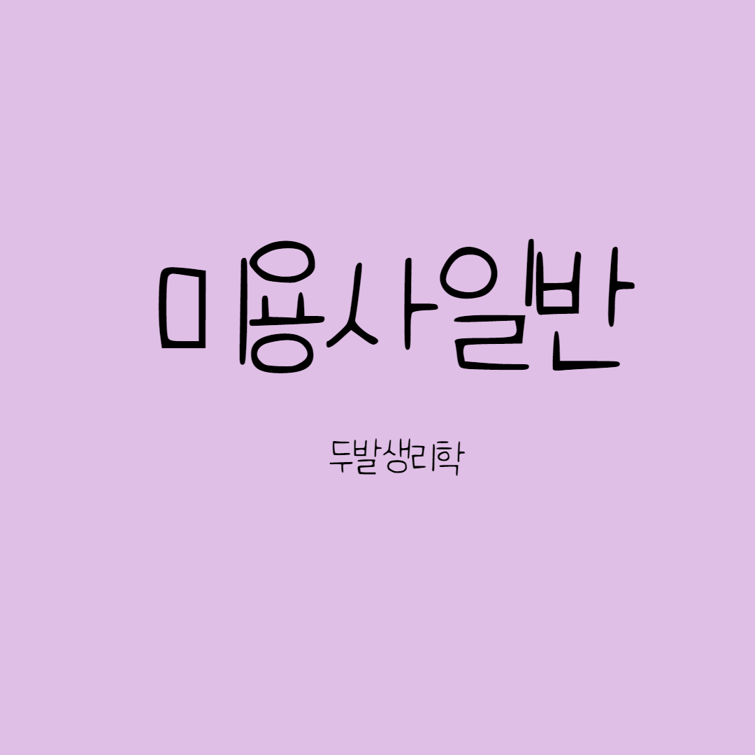  두발생리학