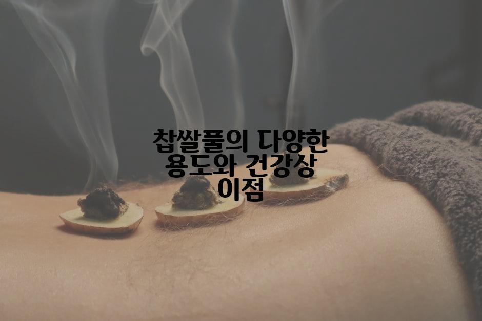 찹쌀풀의 다양한 용도와 건강상 이점