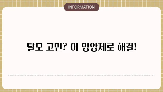 머리 탈모 영양제 추천