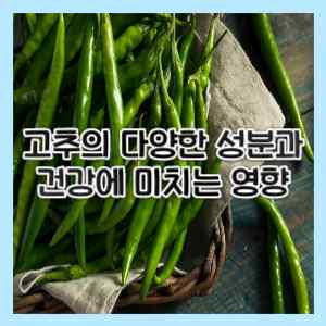  고추의 다양한 성분과 건강에 미치는 영향