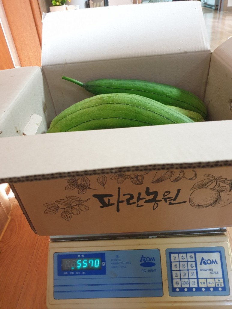 수세미 차코로나시대에 관심받고있는 20