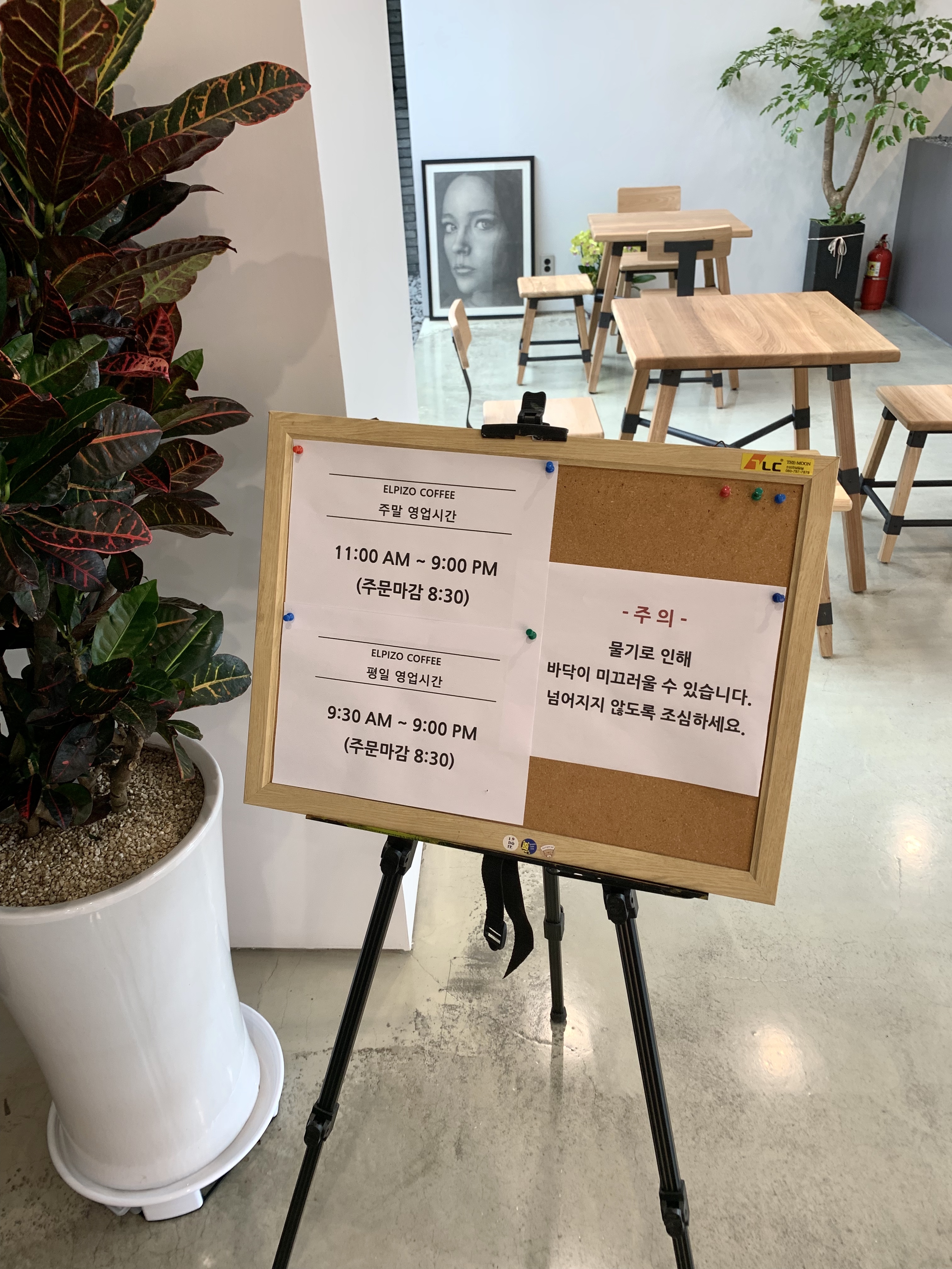 카페 엘피조 이미지