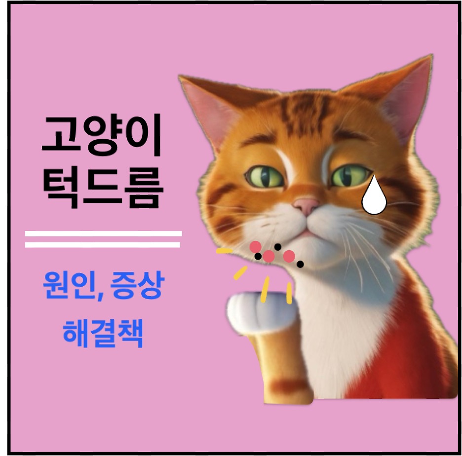 고양이 턱드름 원인&#44; 증상&#44; 치료