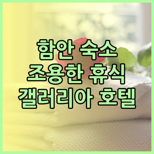 함안 숙소 추천 함안 갤러리아 호텔 