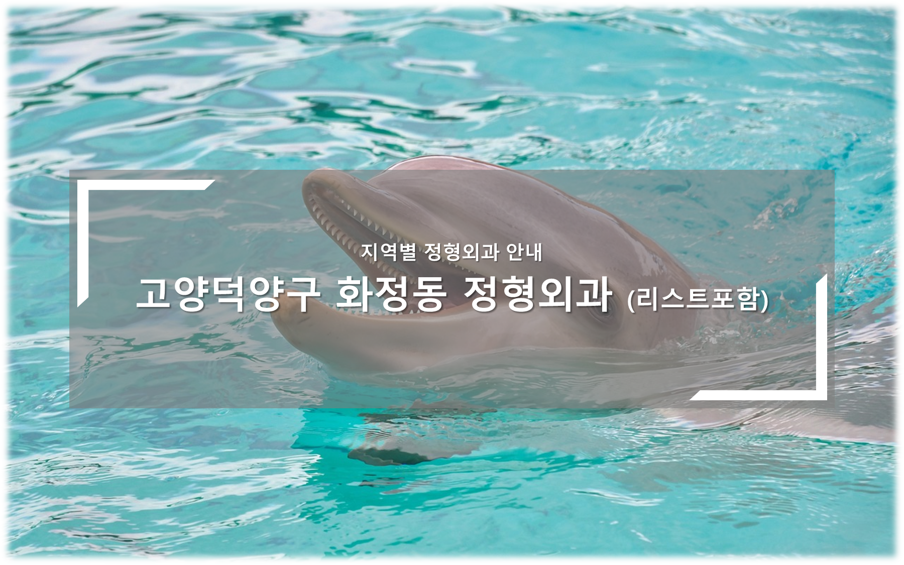 고양 덕양구 화정동 정형외과의원 안내