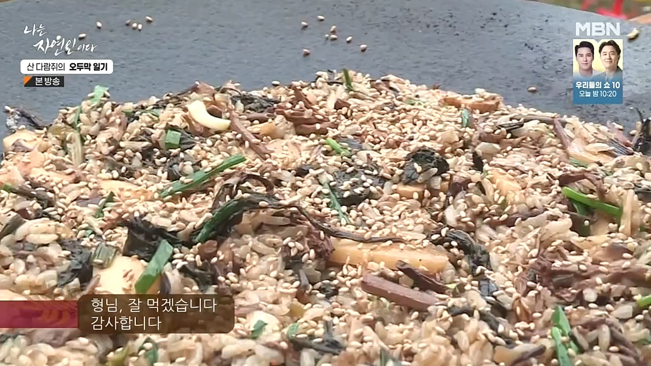 나는 자연인이다.E525.221027p-NEXT.mp4_20221027_192743.311.jpg