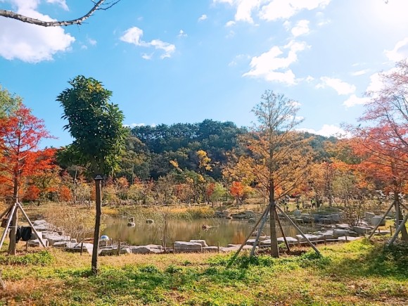 #부산 아이와가 볼만한 바다 운대수목원 30
