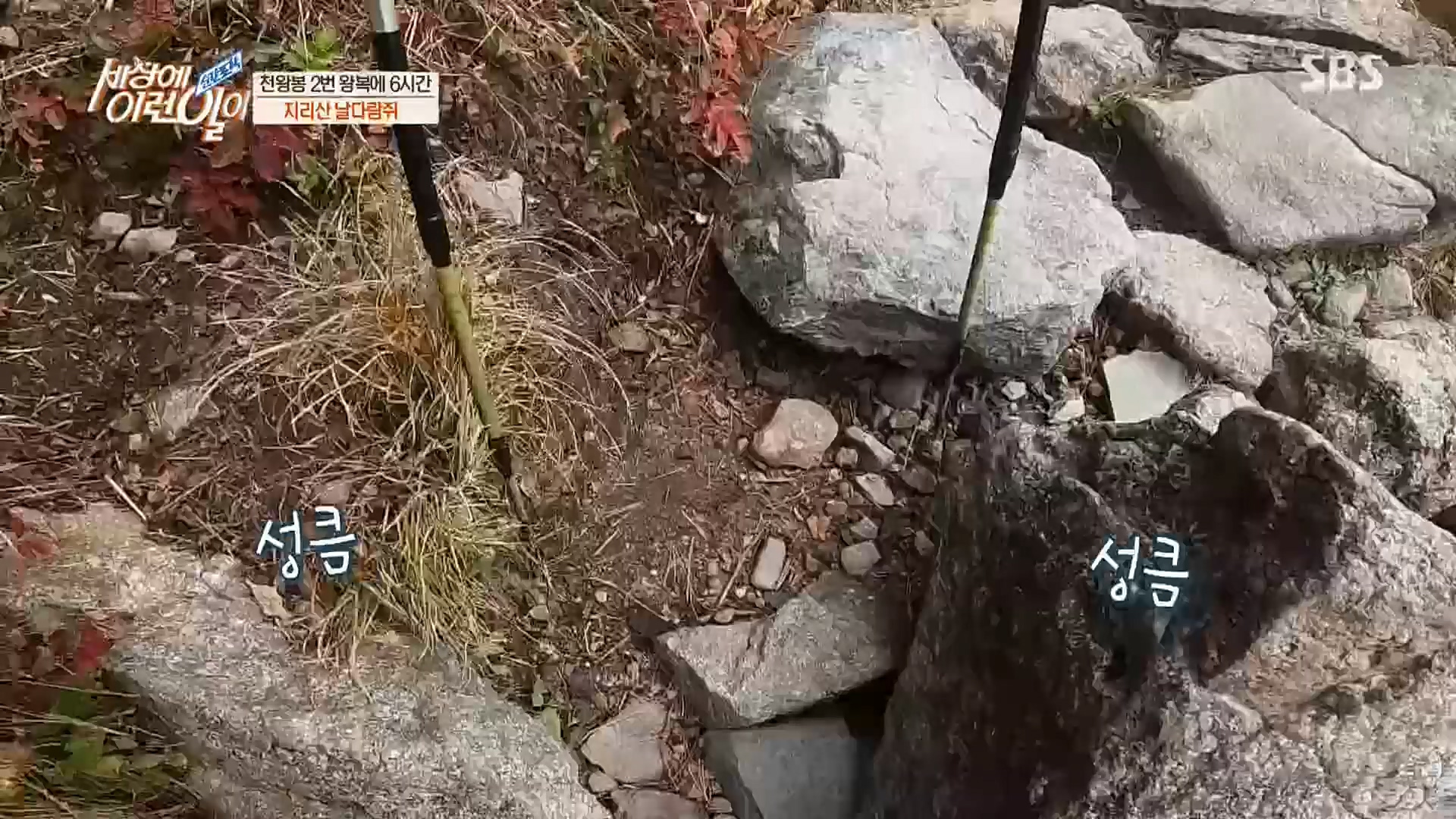 순간포착 세상에 이런일이.E1202.221018p.H264-F1RST.mp4_20221019_182903.337.jpg