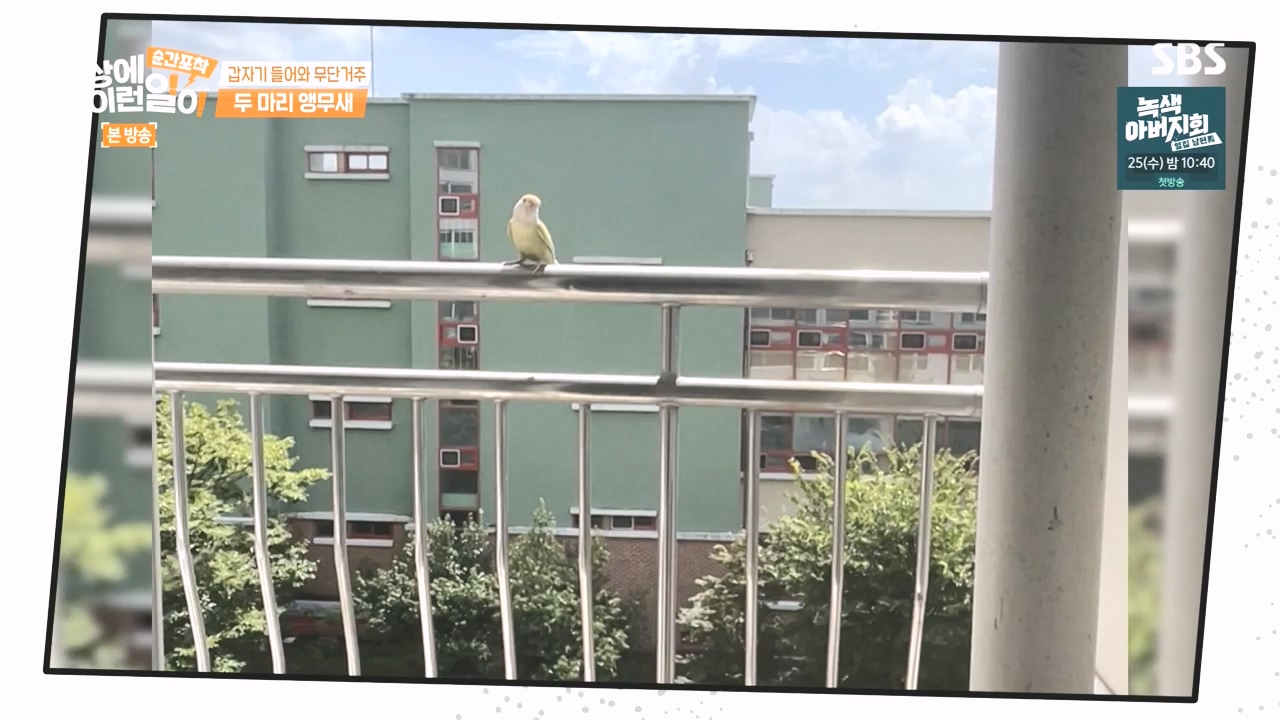순간포착 세상에 이런일이.E1248.231015p-NEXT.mp4_20231015_164752.571.jpg