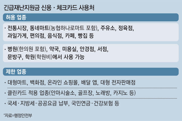  재난 지원금 사용처 정리