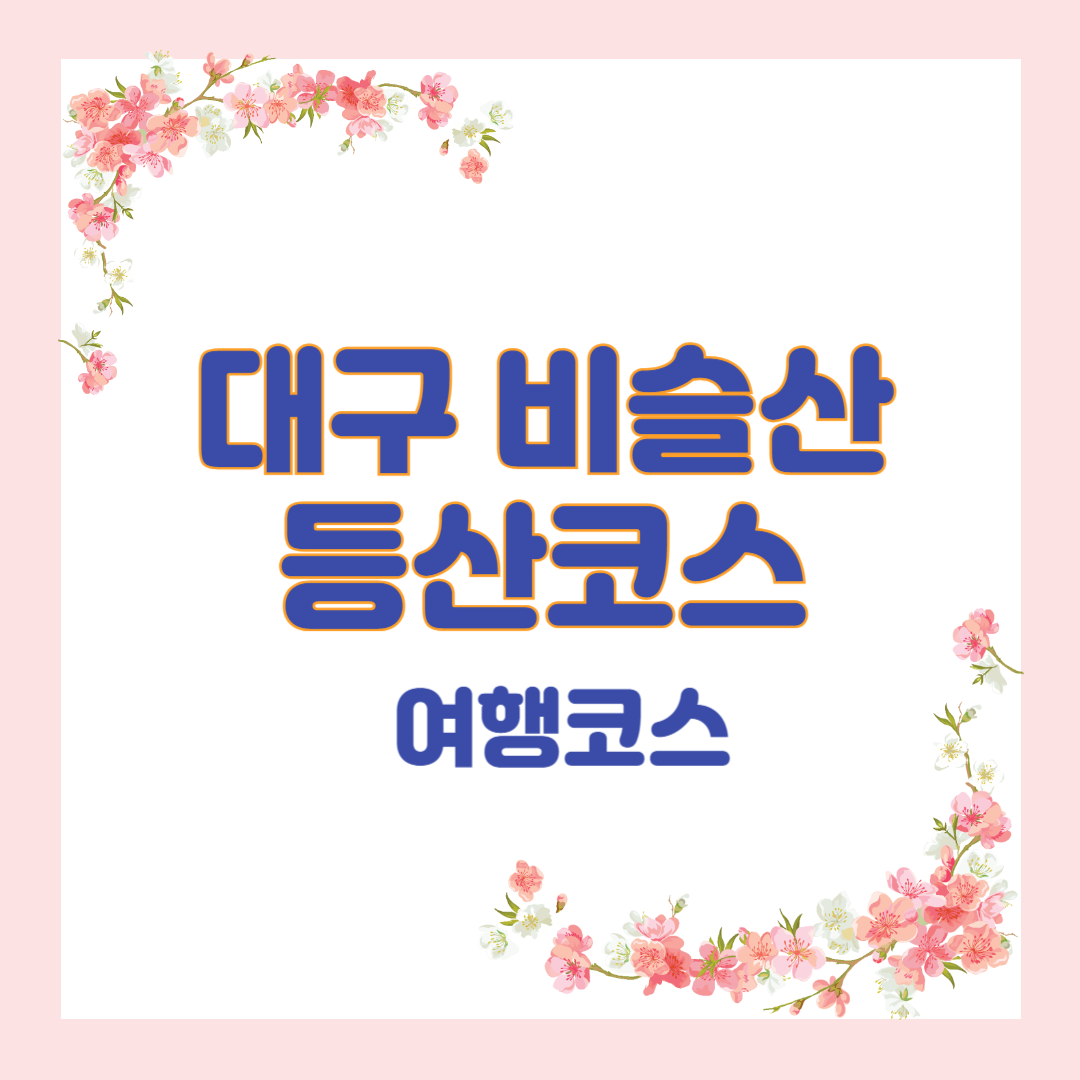 대구 비슬산 등산코스