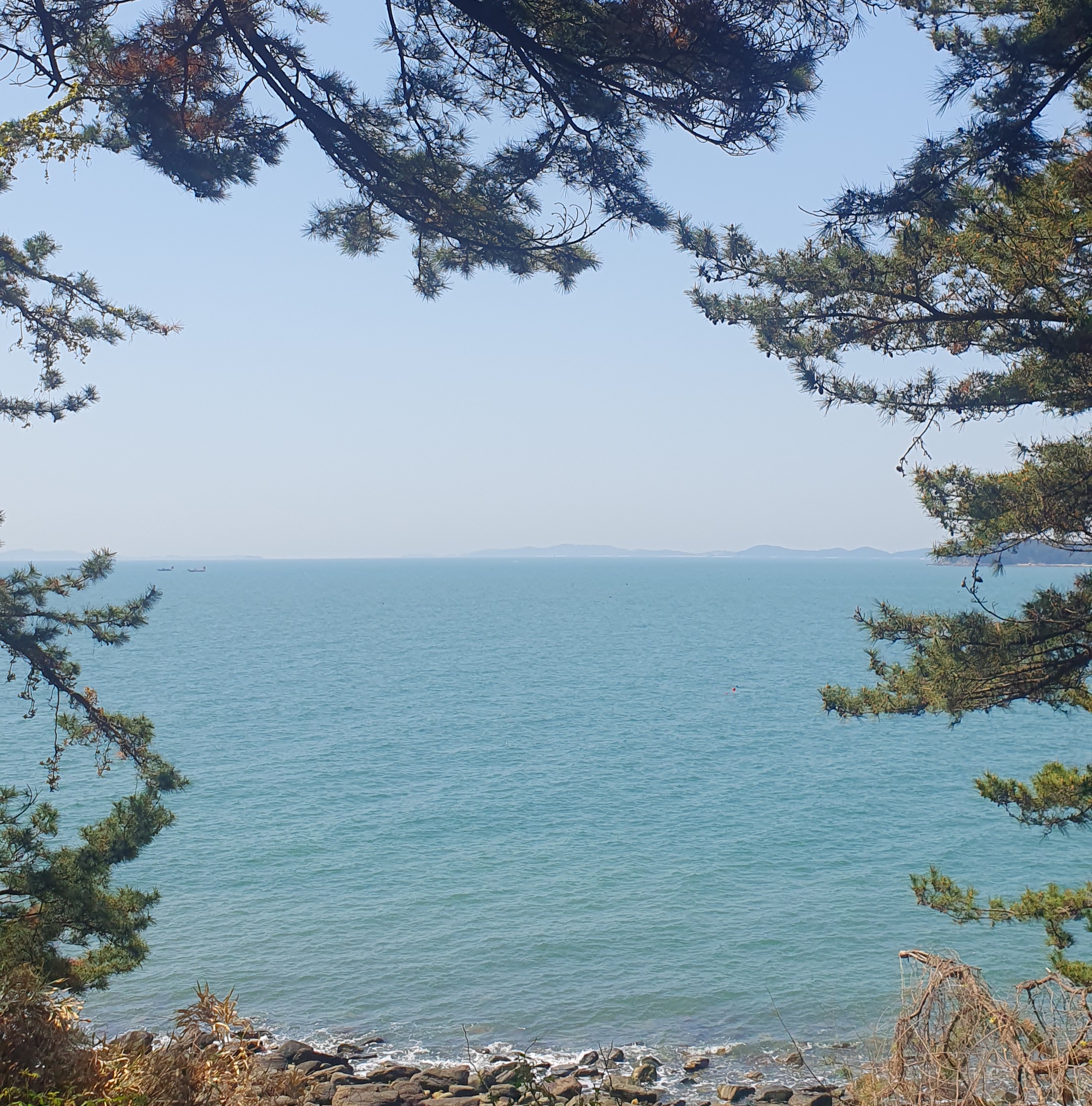 죽도 상화원