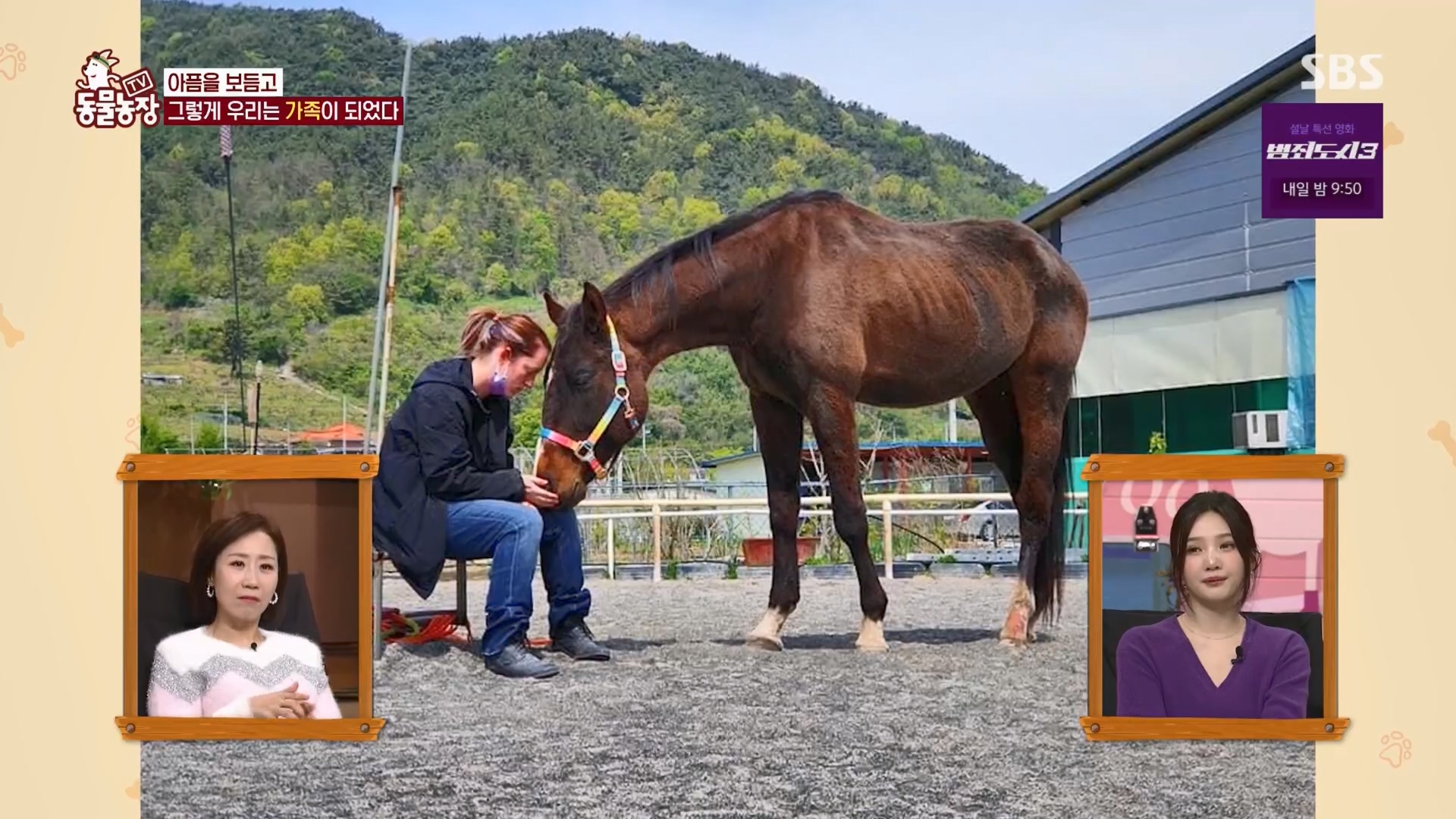 TV 동물농장.E1158.240211p.H264-F1RST.mp4_20240211_192326.783.jpg