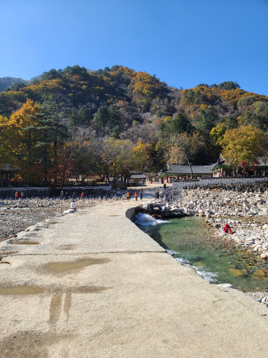 백담사 단풍 멋지다 ( 셔틀버스안내 ) 강원도 인제 여행 / 설악산 33