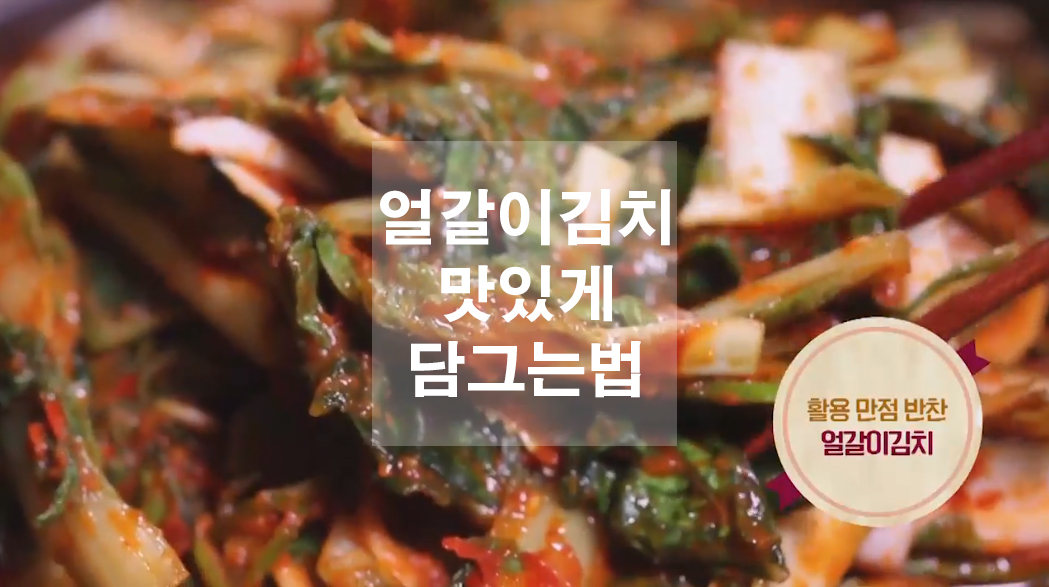  얼갈이김치 맛있게 담그는법