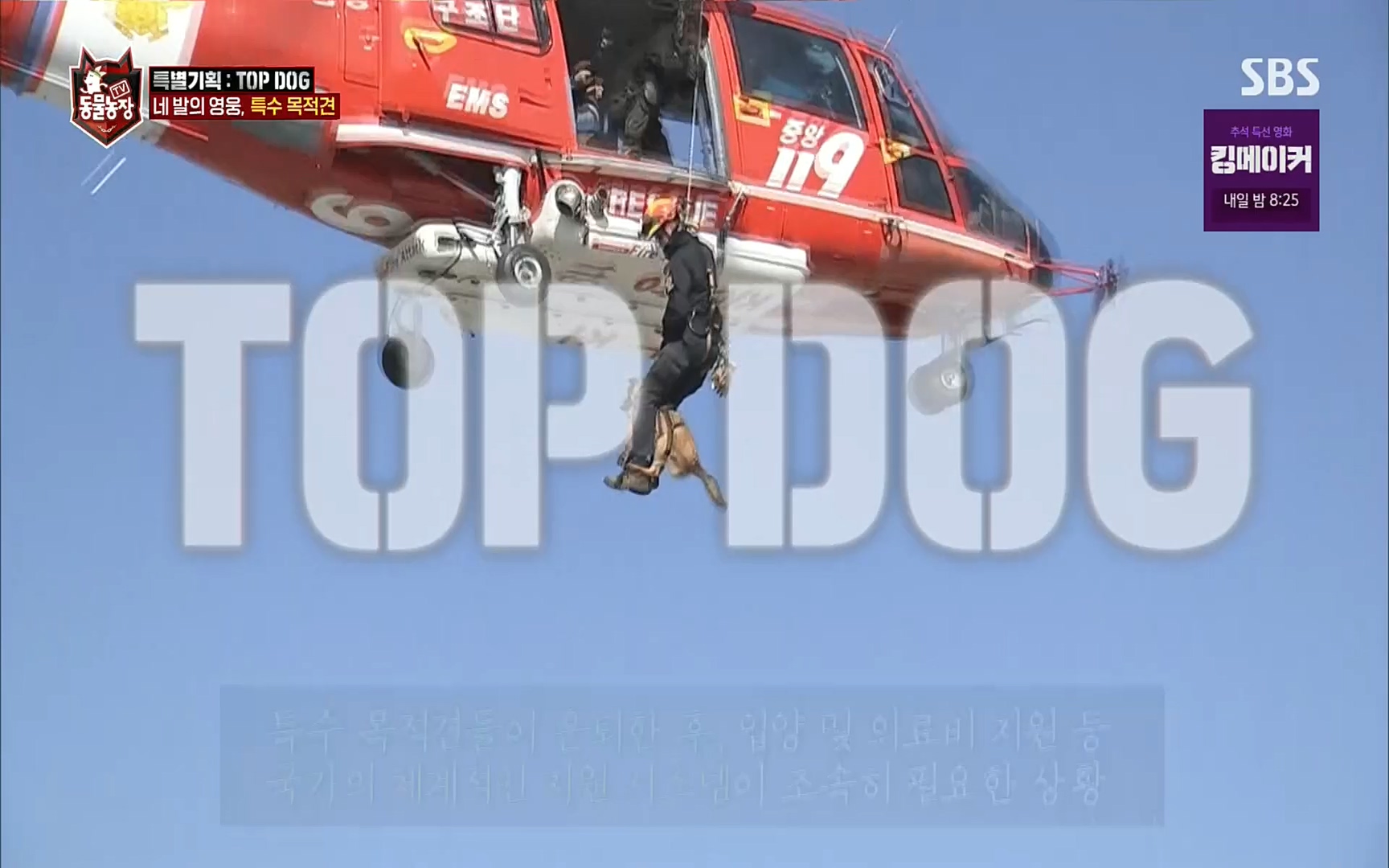 TV 동물농장.E1086.220911p.H264-F1RST.mp4_20220911_175426.887.jpg