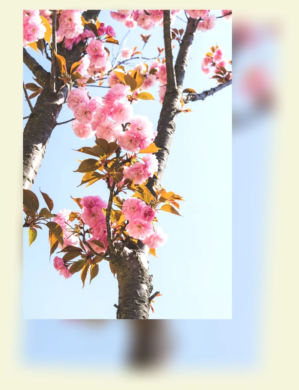 경주월드 방문 후기_3_subsection