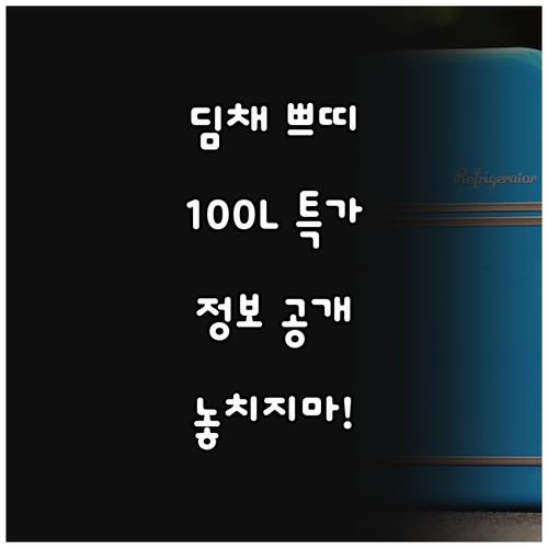 딤채 쁘띠 김치냉장고 100L 특가 