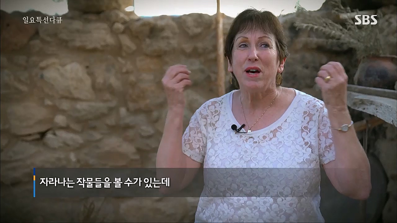 일요 특선 다큐멘터리.E301.221226p.H264-F1RST.mp4_20230109_201632.790.jpg