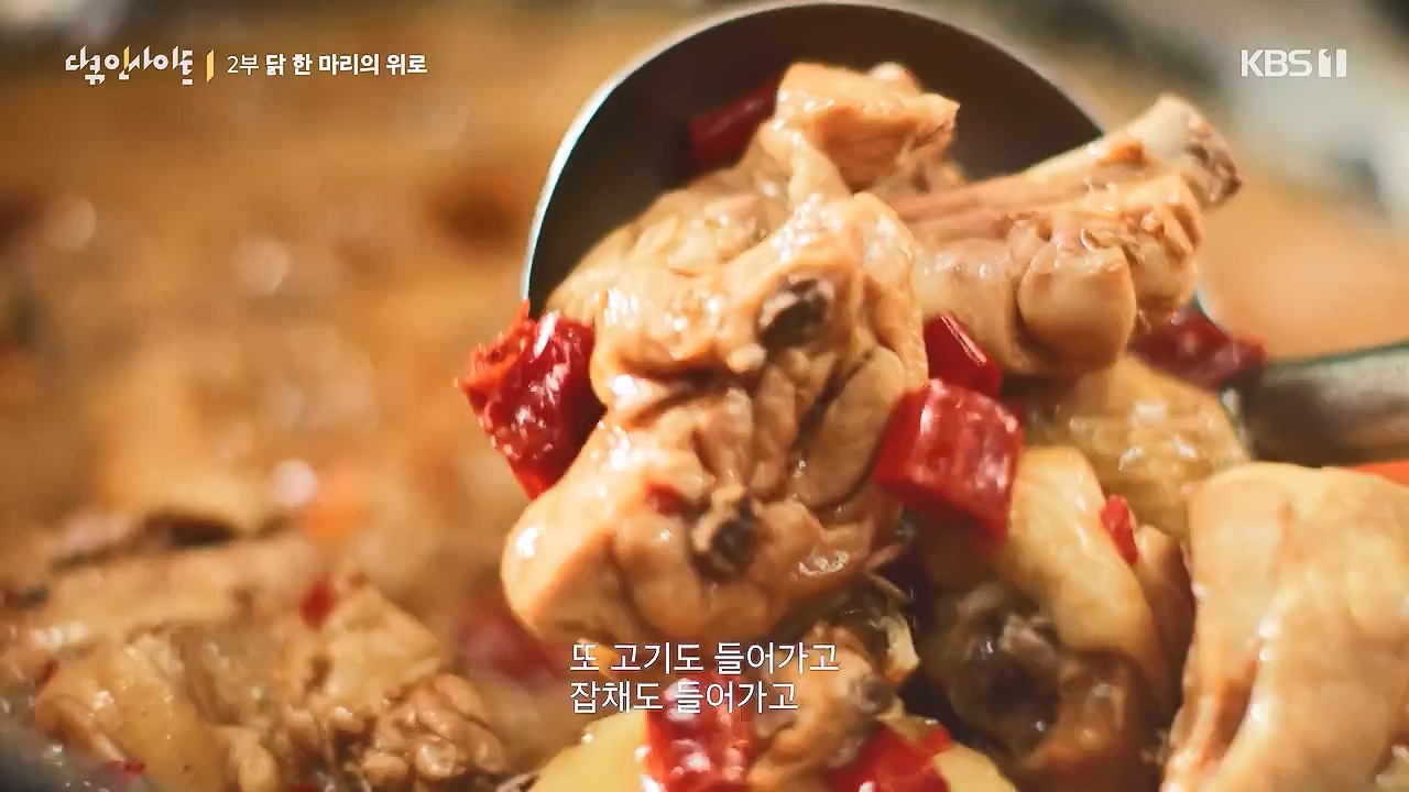 다큐 인사이트.E191.240532p-NEXT.mp4_20240601_163421.119.jpg