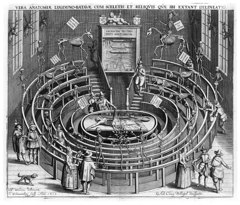 Leiden anatomical theatre in 1610. Jan Cornelisz 그림. Willem Swanenburgh 판화화
