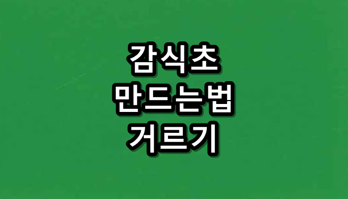 썸네일
