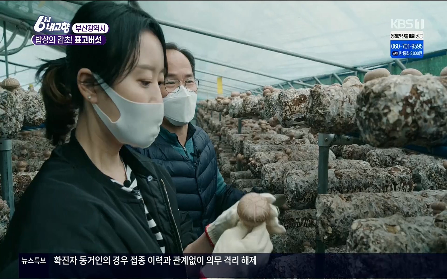 6시 내고향.E7496.220324p.H264-F1RST.mp4_20220328_181547.292.jpg