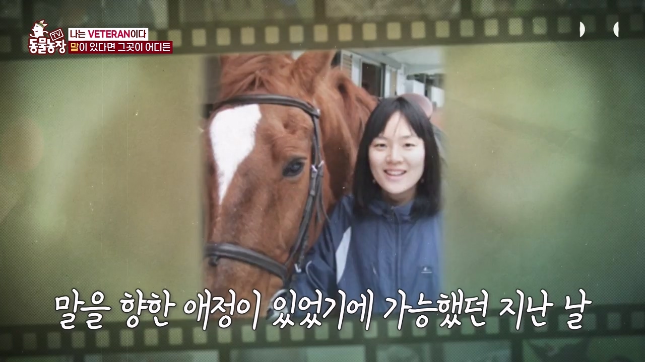 TV 동물농장.E1132.230807p-NEXT.mp4_20230806_164232.903.jpg