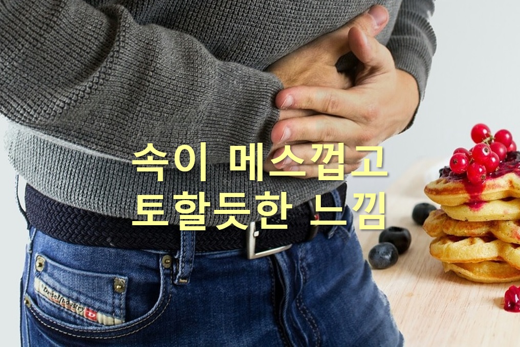  속이 메스껍고 토할듯한 느낌과 속이 메스꺼운 이유