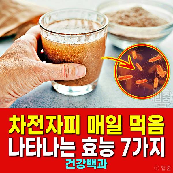 차전자피 효능 부작용 하루권장량 매일