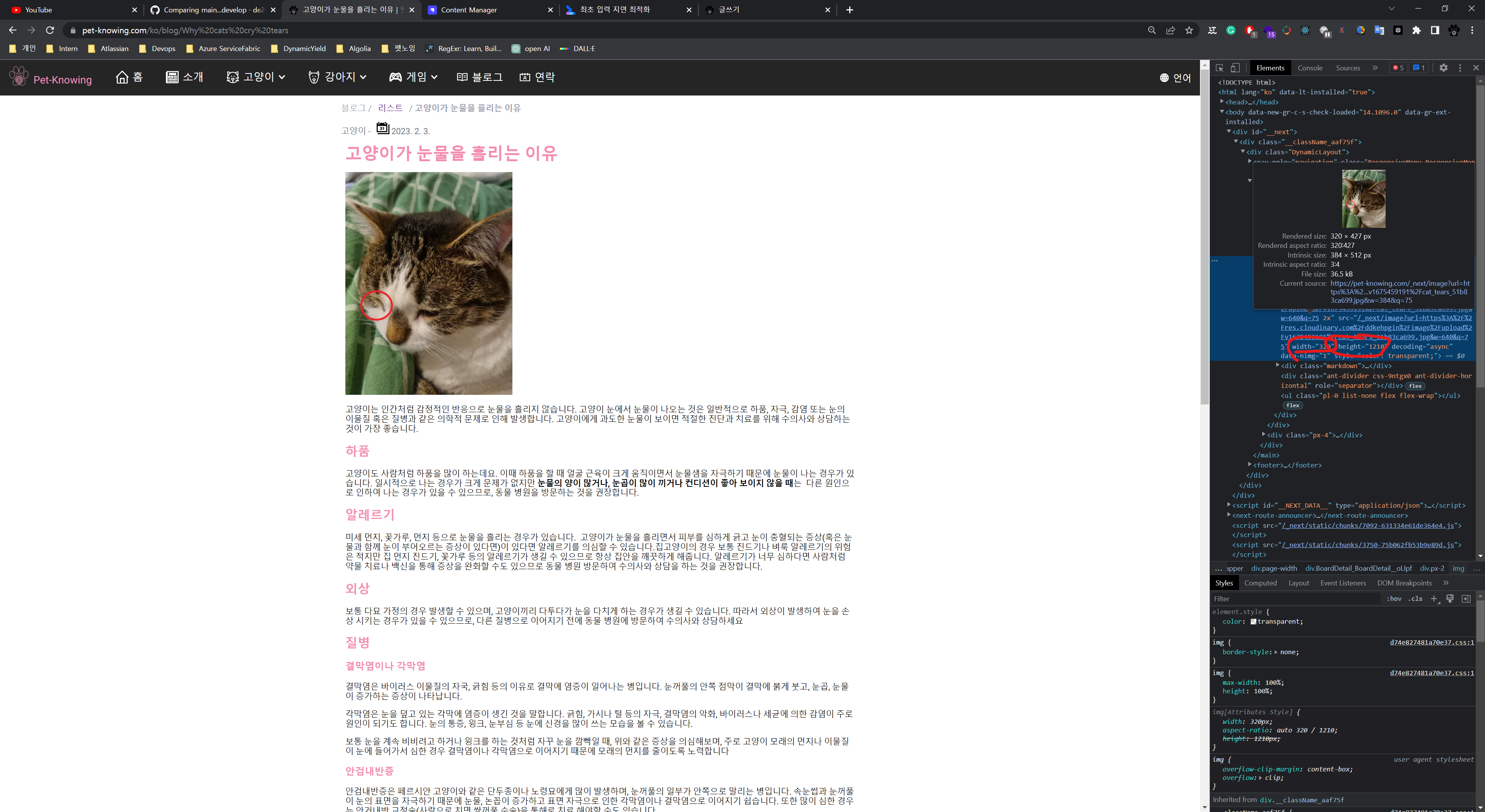  Next.js Image 100% 사이즈
