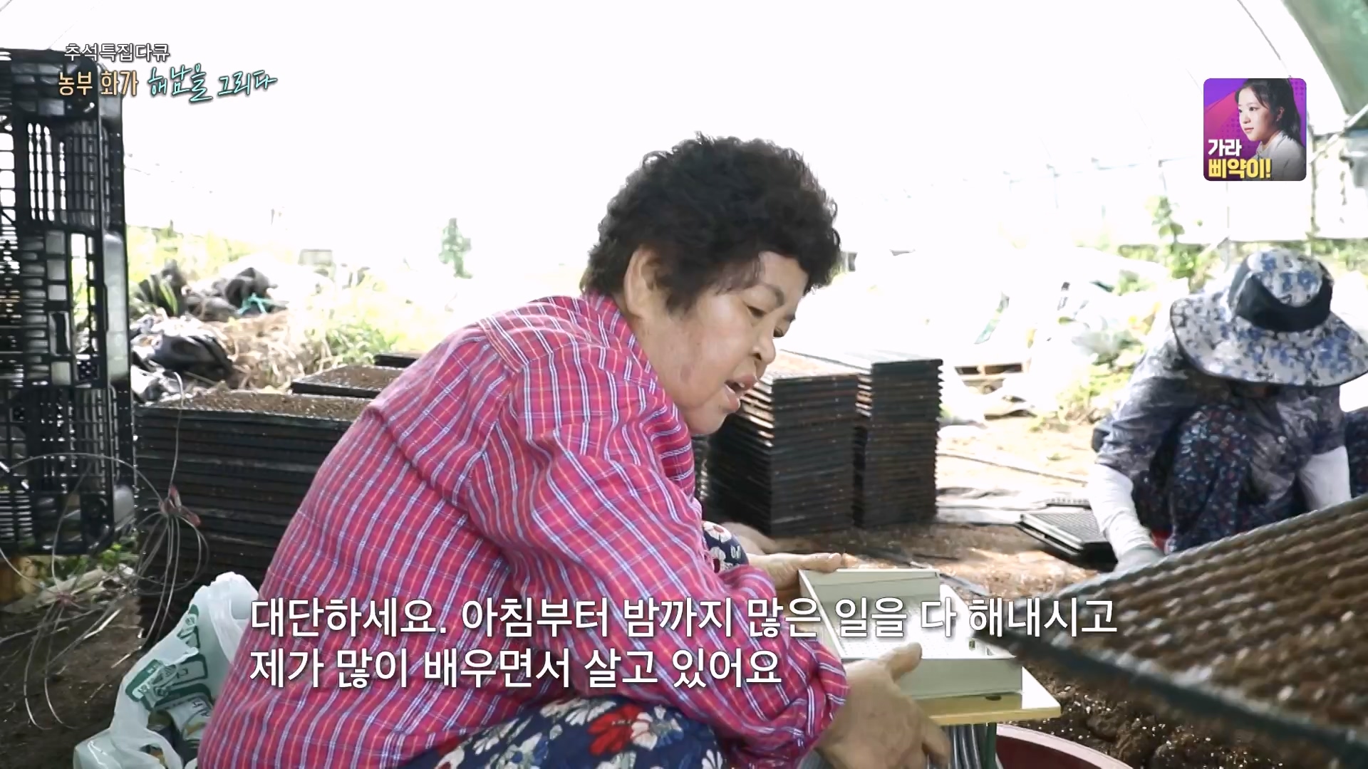 추석 특집 다큐 2부 - 농부화가 해남을 그리다.E02.230929p-NEXT.mp4_20231002_172252.527.jpg