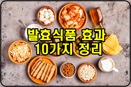  발효식품 효과 10가지 정리