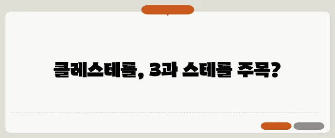 콜레스테롤 관리를 위한 오메가3와 식물스테롤 조합이 중요합니다