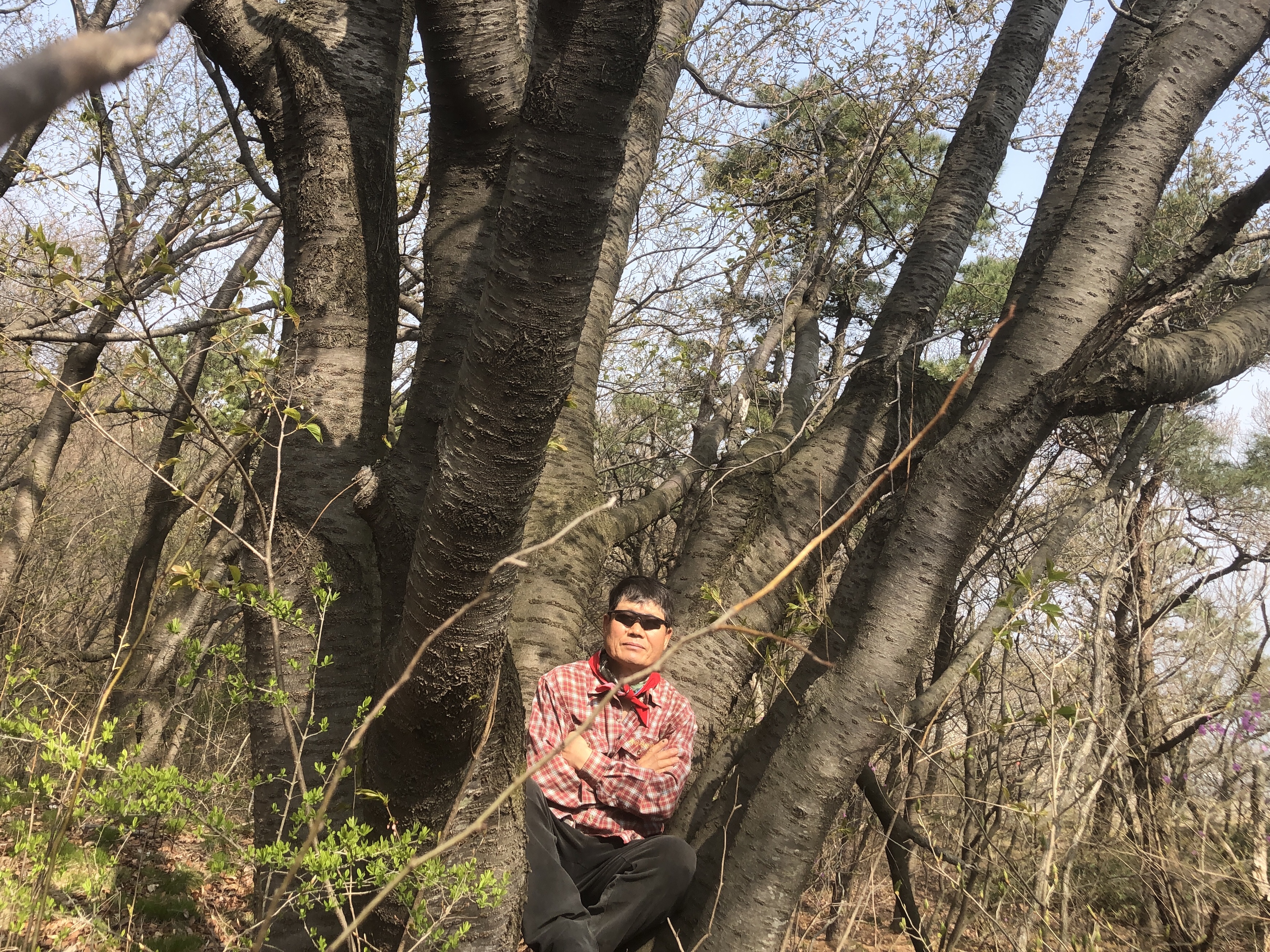 꽃을;보다 이미지